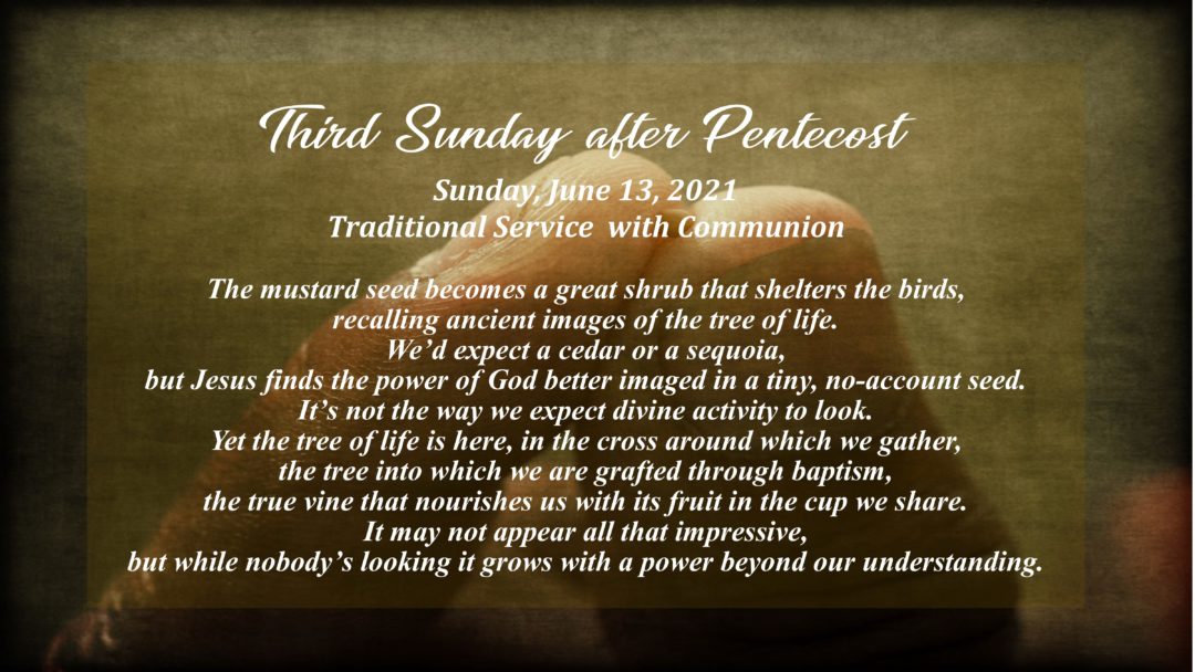 Streamed Worship Service – 3rd Sunday after Pentecost